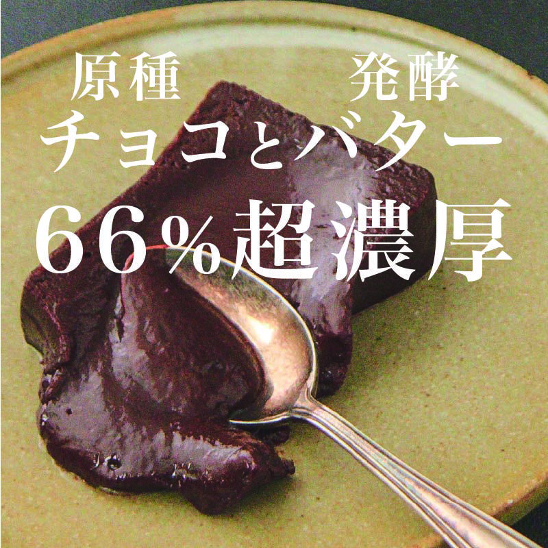 とろ生ガトーショコラ