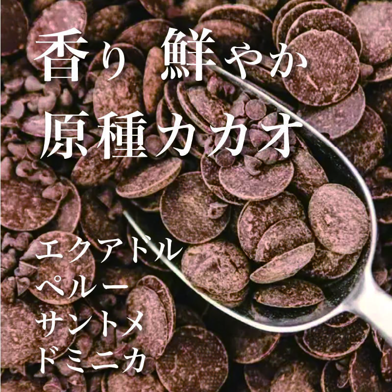 とろ生ガトーショコラ